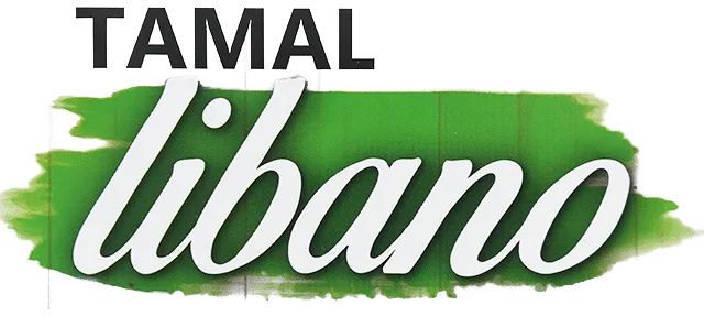 Tamal libanés