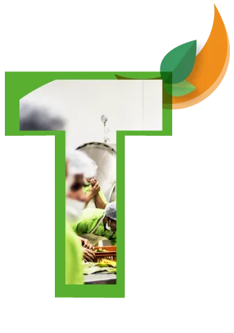 Tamales tolimenses artesanales